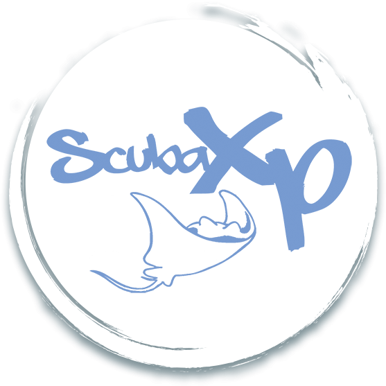 Scuba xp - Edsport.be Scuba xp